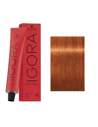 Tinte Igora Royal Schwarzkopf 8-77 Rubio Claro Cobrizo Intenso 60 ml.