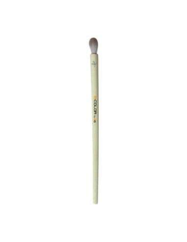 Pincel Biodegradable Para Cejas Ecolor Asuer